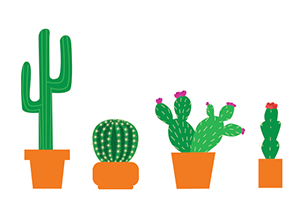 Notecard Farm Cactus illustration