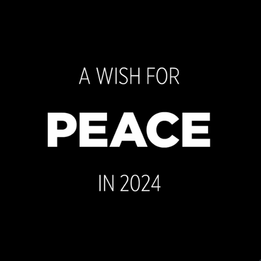 thumbnail for Holiday animation for 2024